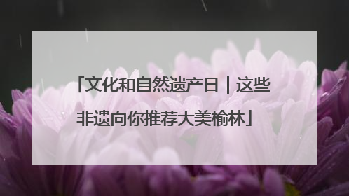 文化和自然遗产日｜这些非遗向你推荐大美榆林