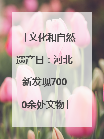 文化和自然遗产日：河北新发现7000余处文物