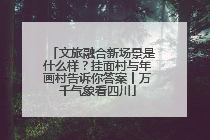 文旅融合新场景是什么样？挂面村与年画村告诉你答案丨万千气象看四川