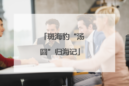 斑海豹“汤圆”归海记