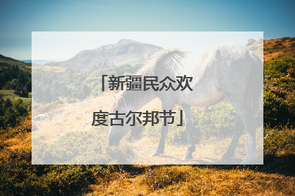 新疆民众欢度古尔邦节