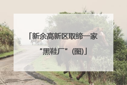 新余高新区取缔一家“黑鞋厂”(图)