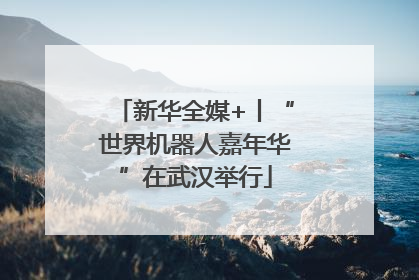 新华全媒+丨“世界机器人嘉年华”在武汉举行