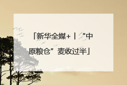 新华全媒+丨“中原粮仓”麦收过半