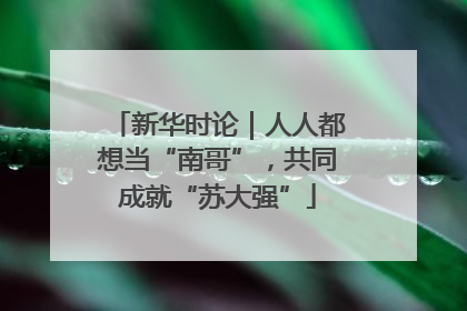 新华时论｜人人都想当“南哥”，共同成就“苏大强”