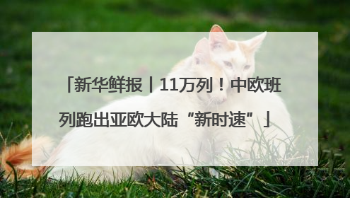 新华鲜报丨11万列！中欧班列跑出亚欧大陆“新时速”