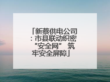 新蔡供电公司：市县联动织密“安全网” 筑牢安全屏障