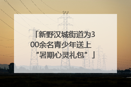 新野汉城街道为300余名青少年送上“暑期心灵礼包”