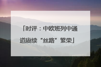 时评：中欧班列中通道赓续“丝路”繁荣