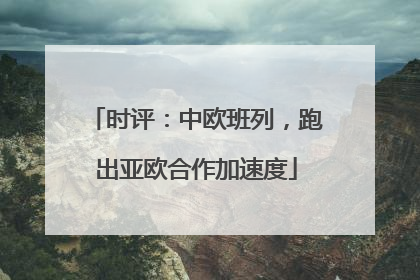 时评：中欧班列，跑出亚欧合作加速度
