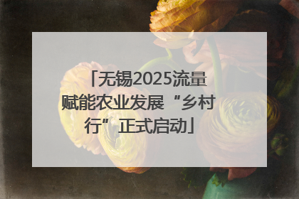 无锡2025流量赋能农业发展“乡村行”正式启动