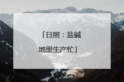 日照：盐碱地里生产忙
