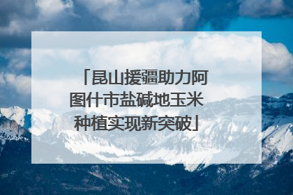 昆山援疆助力阿图什市盐碱地玉米种植实现新突破