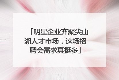 明星企业齐聚尖山湖人才市场，这场招聘会需求真挺多