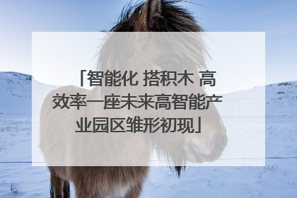 智能化 搭积木 高效率一座未来高智能产业园区雏形初现