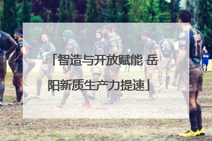 智造与开放赋能 岳阳新质生产力提速