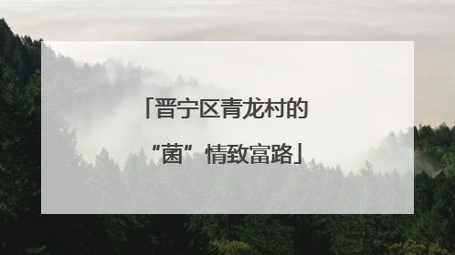 晋宁区青龙村的“菌”情致富路