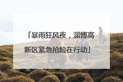 暴雨狂风夜，淄博高新区紧急抢险在行动