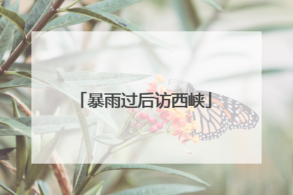 暴雨过后访西峡
