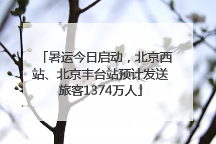 暑运今日启动，北京西站、北京丰台站预计发送旅客1374万人