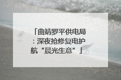 曲靖罗平供电局：深夜抢修复电护航“晨光生意”