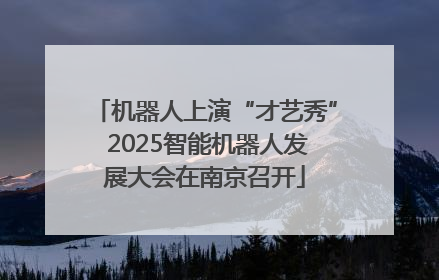 机器人上演“才艺秀” 2025智能机器人发展大会在南京召开