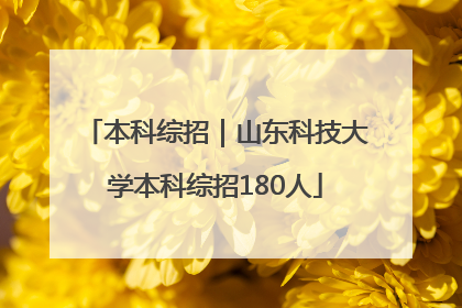 本科综招｜山东科技大学本科综招180人