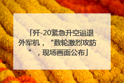 歼-20紧急升空逼退外军机，“数轮激烈攻防”，现场画面公布