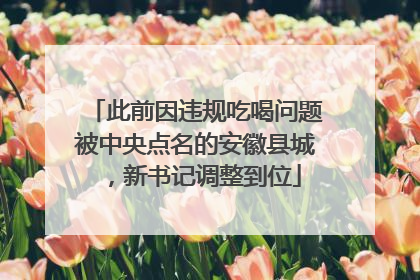 此前因违规吃喝问题被中央点名的安徽县城，新书记调整到位