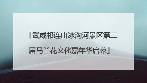 武威祁连山冰沟河景区第二届马兰花文化嘉年华启幕