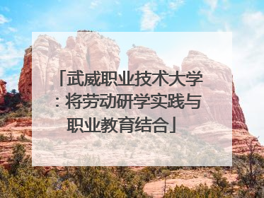 武威职业技术大学：将劳动研学实践与职业教育结合
