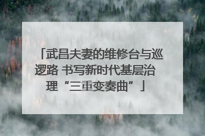 武昌夫妻的维修台与巡逻路 书写新时代基层治理“三重变奏曲”