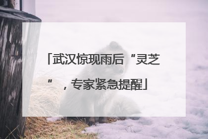 武汉惊现雨后“灵芝”，专家紧急提醒