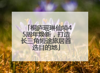 桐庐瑶琳仙境45周年焕新，打造长三角短途旅居首选目的地