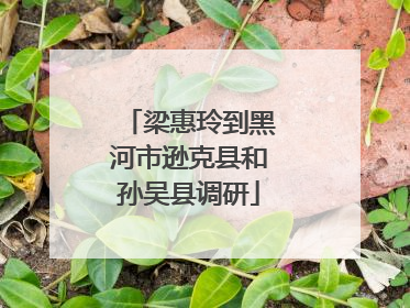 梁惠玲到黑河市逊克县和孙吴县调研