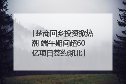 楚商回乡投资掀热潮 端午期间超60亿项目签约湖北