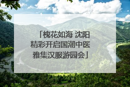 槐花如海 沈阳精彩开启国潮中医雅集汉服游园会
