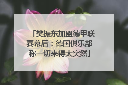 樊振东加盟德甲联赛幕后：德国俱乐部称一切来得太突然
