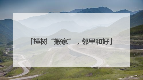 樟树“搬家”，邻里和好