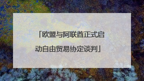 欧盟与阿联酋正式启动自由贸易协定谈判