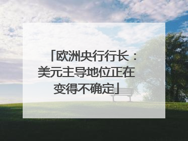 欧洲央行行长：美元主导地位正在变得不确定