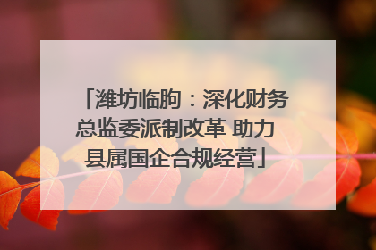 潍坊临朐：深化财务总监委派制改革 助力县属国企合规经营
