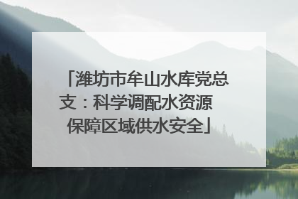 潍坊市牟山水库党总支：科学调配水资源 保障区域供水安全