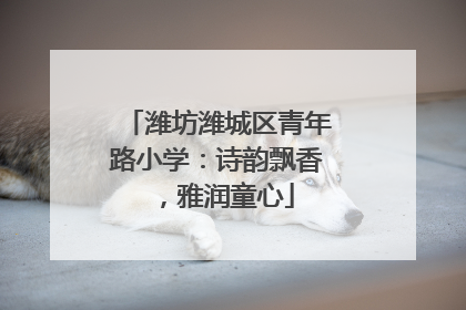 潍坊潍城区青年路小学：诗韵飘香，雅润童心