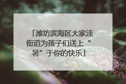 潍坊滨海区大家洼街道为孩子们送上“暑”于你的快乐