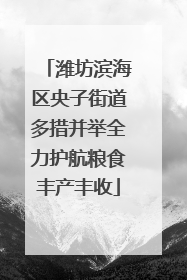 潍坊滨海区央子街道多措并举全力护航粮食丰产丰收