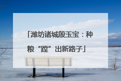 潍坊诸城殷玉宝：种粮“蹚”出新路子