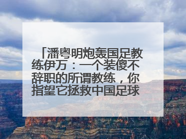 潘粤明炮轰国足教练伊万：一个装傻不辞职的所谓教练，你指望它拯救中国足球！此前曾多次发文评价国足