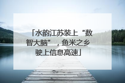 水韵江苏装上“数智大脑”，鱼米之乡驶上信息高速
