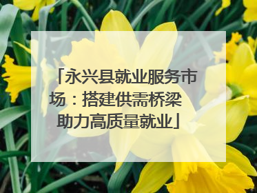 永兴县就业服务市场：搭建供需桥梁 助力高质量就业